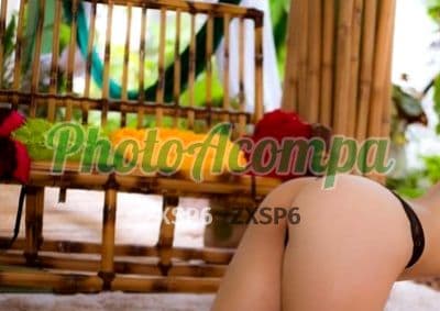Acompanhante peituda em Salvador (3) — Nanda Montenegro