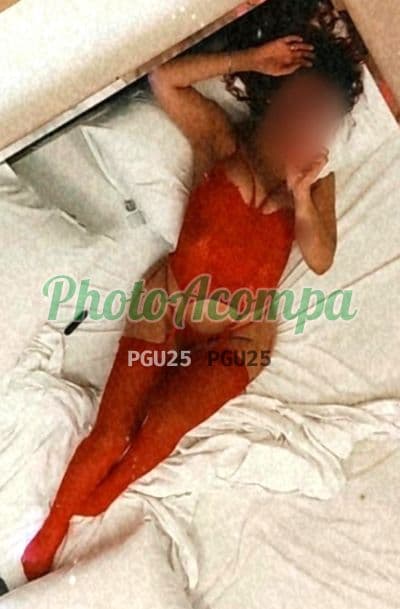 Acompanhante em São Paulo com anal (6) — Pâmela Albuquerque
