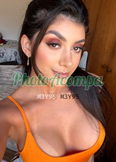 Acompanhante em Sorocaba — anal, foto 6 de Samia