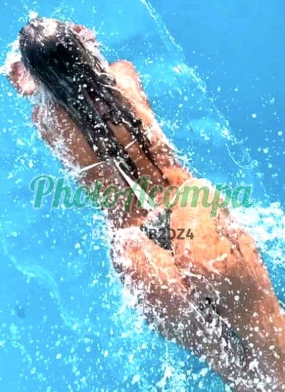 Acompanhante em Franca — experiência de namorada, foto 4 de Sophia Ferreira