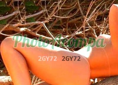 Foto 4: Acompanhante em Suzano — namoradinha, Suzy Fisher