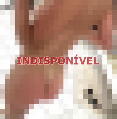 Acompanhante em Americana com beijo na boca (2) — Último dia, ruiva massagista sensual, muito prazerosa.