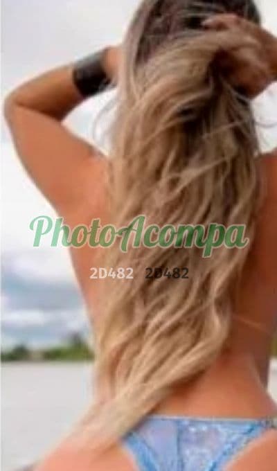 Acompanhante em Rio de Janeiro — sexo anal, foto 6 de Vanessa Araújo