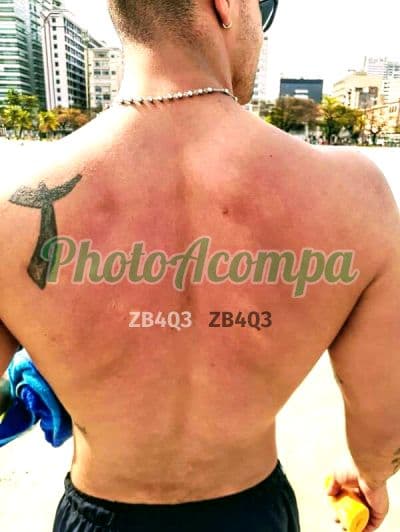 Acompanhante masculino foto sem retoque em ABC Paulista, foto 5 de Apolo