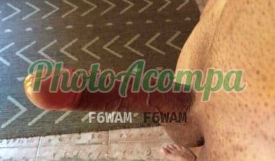 Foto 5: Acompanhante masculino foto sem retoque em São Paulo — Coroa casado