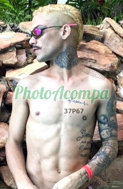 Acompanhante masculino em Goiânia — beijo grego, foto 6 de Loirinho Dominador