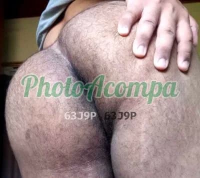 Acompanhante masculino foto real em Capivari, foto 2 de Passivo Peludo