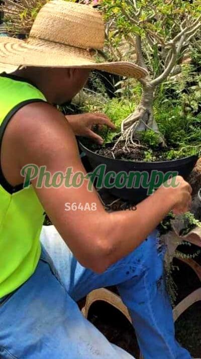 Acompanhante masculino em Foz do Iguaçu — beijo na boca, foto 2 de Thedoro Algusto
