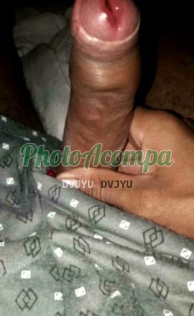 Acompanhante masculino foto verificada em São Gonçalo (3) — Tigre