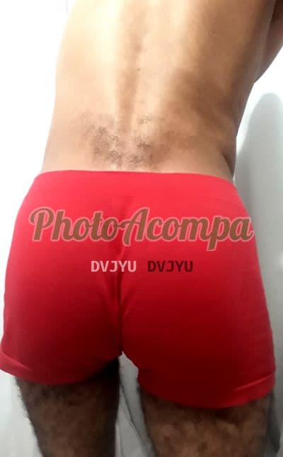 Acompanhante masculino foto sem retoque em São Gonçalo (5) — Tigre