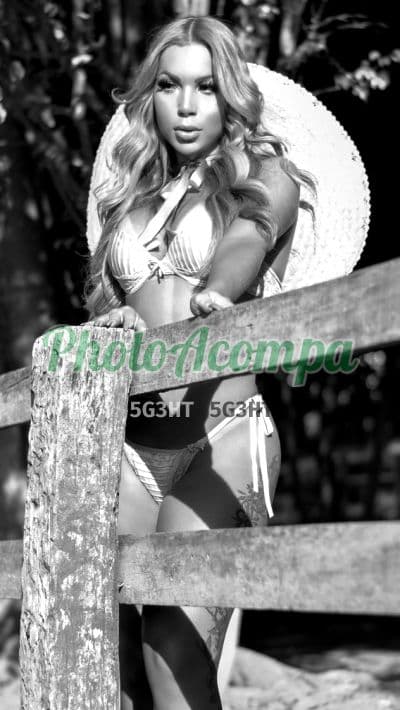 Travesti acompanhante em Rio de Janeiro com garganta profunda (4) — Alicya Lins