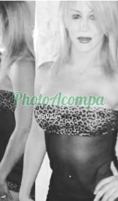 Travesti acompanhante em São Paulo com beijo grego (2) — Cibelly Mello