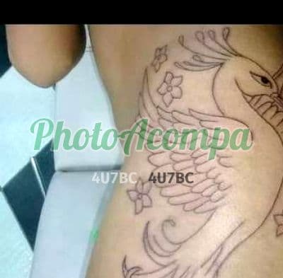 Travesti acompanhante foto sem retoque em Praia Grande, foto 5 de Eduarda Danttas