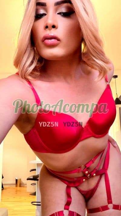 Travesti acompanhante em Curitiba com beijo grego (6) — Geovanna Diaz