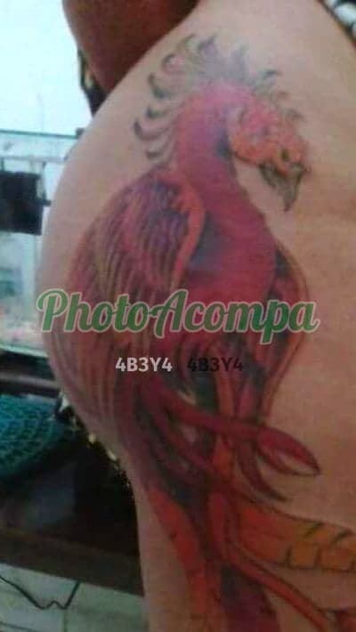 Travesti acompanhante em São Paulo — beijo grego, foto 2 de Ingrid Prado