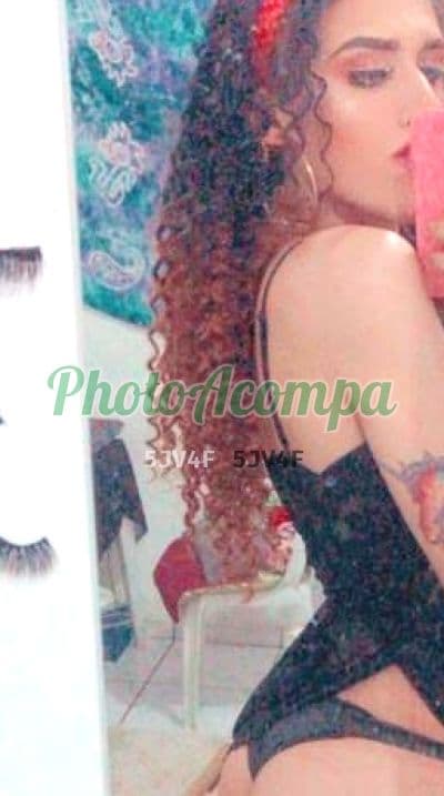 Travesti acompanhante em Goiânia com garganta profunda (4) — Jessica Marques