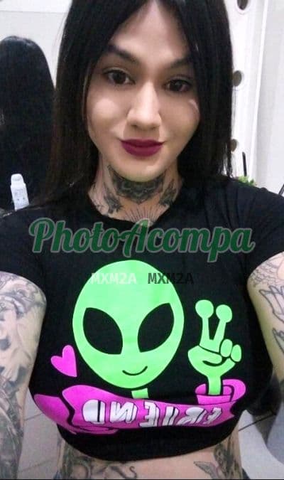 Travesti acompanhante imagem autêntica em São Paulo (4) — Katy Collins