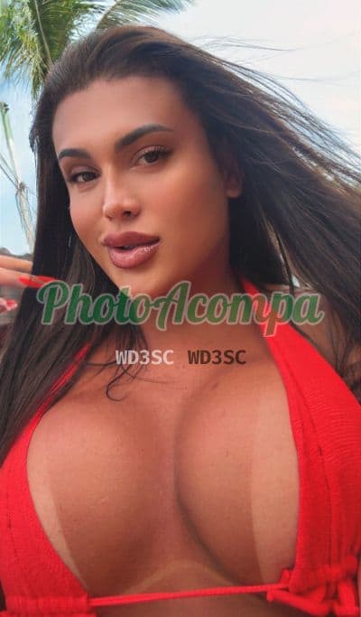 Travesti acompanhante foto verificada em Bragança Paulista (3) — Lana