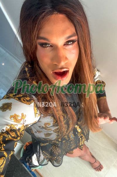 Travesti acompanhante foto verificada em São Paulo, foto 3 de Maddy Belmont
