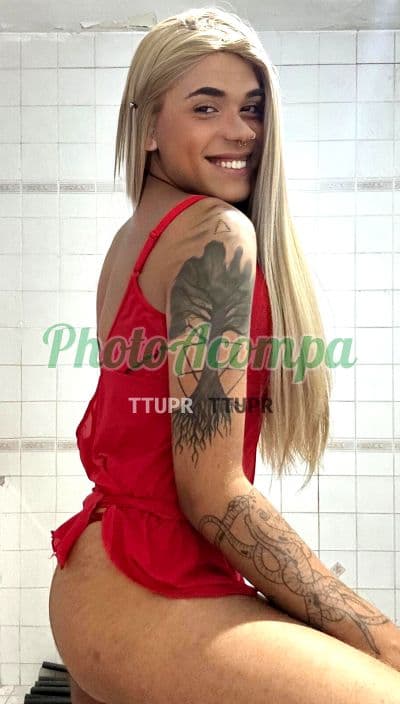 Travesti acompanhante em São Paulo com garganta profunda (4) — Musa Portinary ninfeta