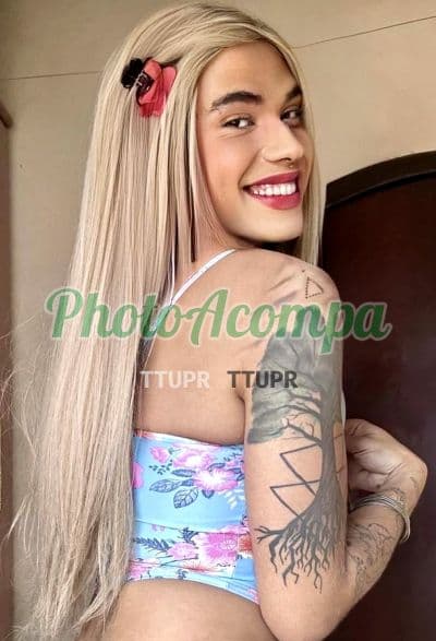 Travesti acompanhante foto sem retoque em São Paulo (5) — Musa Portinary ninfeta