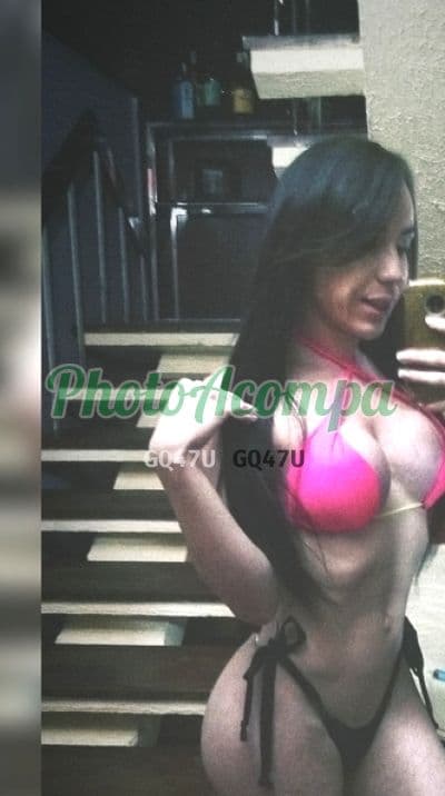 Travesti acompanhante foto verificada em ABC Paulista, foto 3 de Nicole