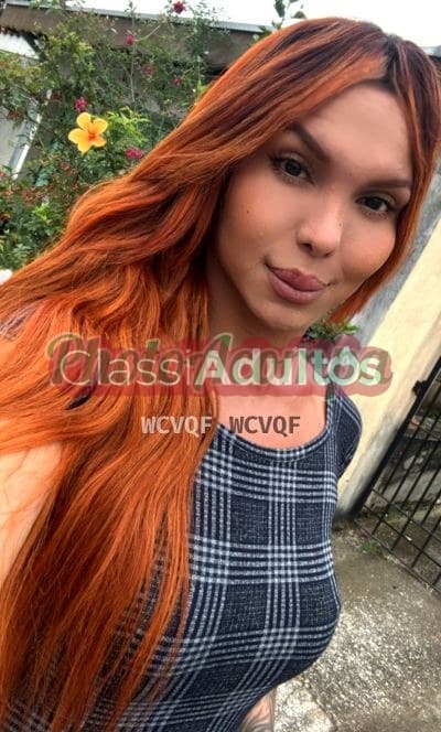 Travesti acompanhante imagem do anúncio em Taubaté, foto de perfil