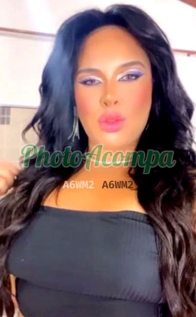 Travesti acompanhante foto real em São José dos Campos, foto 2 de Tainá Almeida