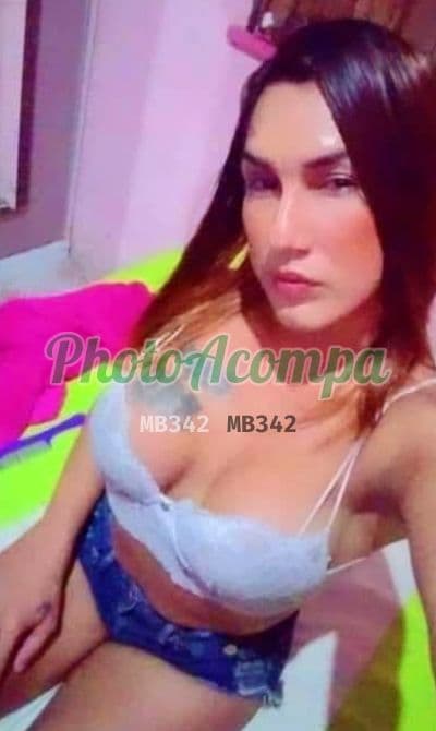 Travesti acompanhante em Belém com beijo grego (4) — Tayná Costa