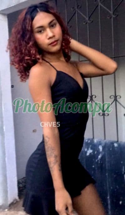Foto 5: Travesti acompanhante foto sem retoque em Castanhal — Thayanne magrinha