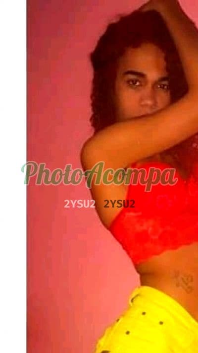 Travesti acompanhante foto verificada em Hortolândia, foto 3 de ÚLTIMOS DIAS NATY PAUZUDAA