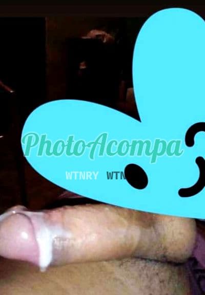 Travesti acompanhante em Curitiba com beijo na boca (4) — Vanessa