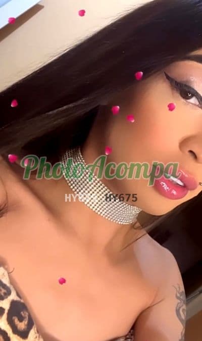 Travesti acompanhante em São Paulo — garganta profunda, foto 6 de Whendy Delmondes