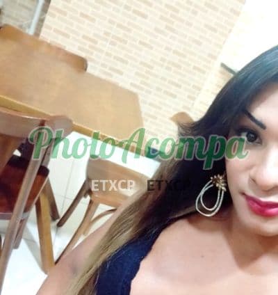 Travesti acompanhante em Florianópolis com beijo grego (4) — Yrella Soares