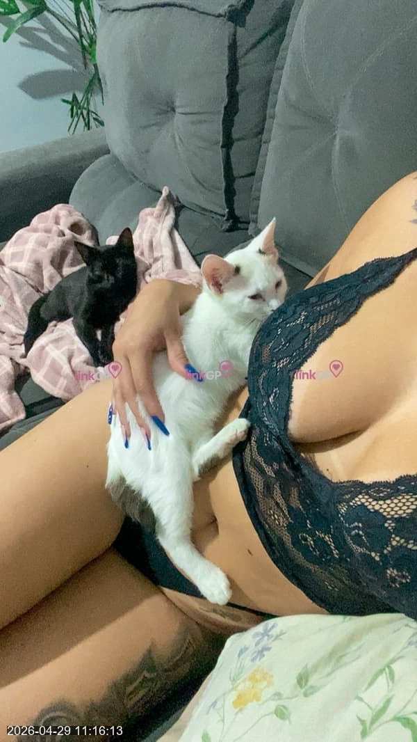 Videochamada erótica com peitões (11) — Camgirl Saraiva Maloka