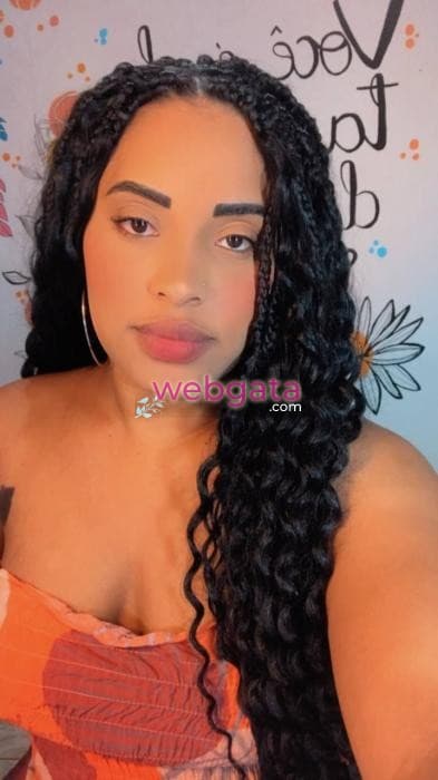 Videochamada erótica — sexo anal, foto 6 de Suelen