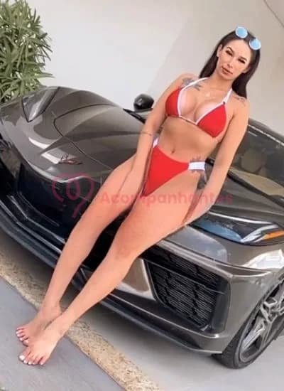 Ferrari — acompanhante em São Paulo